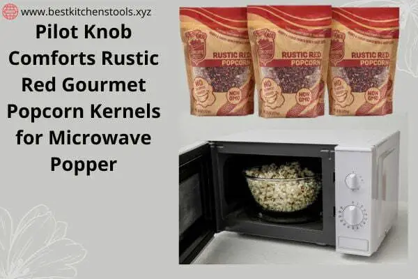 Best popcorn for microwave popper