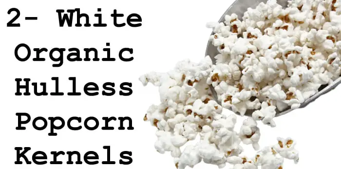 Types of popcorn kernels 